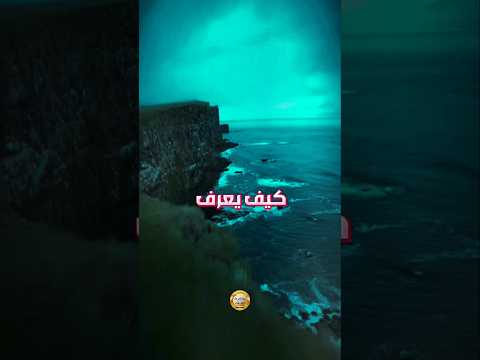 كيف يعرف عزيز النفس