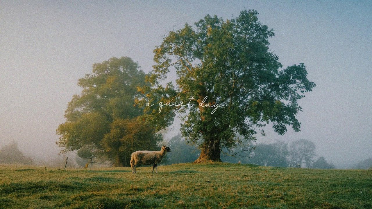 a playlist for reading while enjoying the calm of the quiet garden