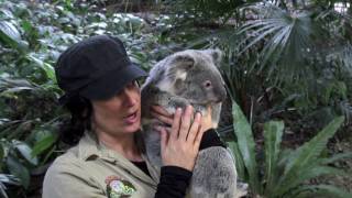 Iron Sky Signal E12 - Iron Sky Goes Australia Part I