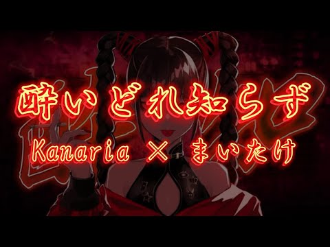 【本家と合わせてみた】酔いどれ知らず【Kanaria】【まいたけ】【ちょこらび】