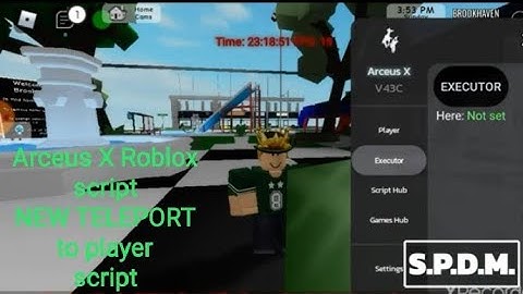 arceus x roblox script (loop teleport to player)by me link on comments