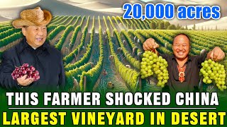 This Man Spends $8 Million to Plant 20,000 Acres of Grapes in the Desert, Shocking All of China!