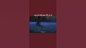 إنه لا ييأس من روح الله إلا القوم الكافرون 🤍#عبدالباسط_عبدالصمد #سورة_يوسف