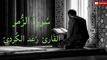 القارئ  رعد محمد  الكردي سورة الزمر