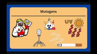 DNA and Genetic Mutations (7th Grade) Genetics 7 Mutations