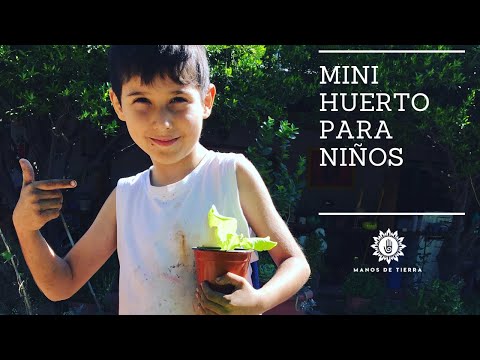 Video: Cómo Equipar Un Huerto En Un Alféizar Con Un Niño