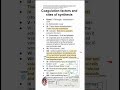 Coagulation factors and sites of synthesis