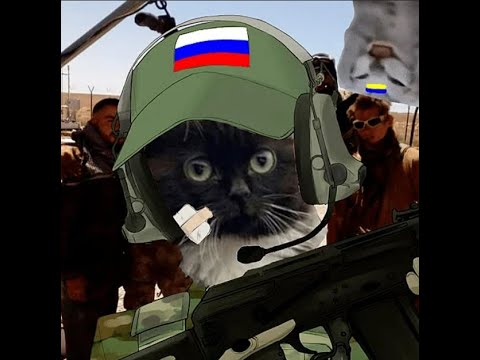 Чмоня мем с котом ой не та кнопка мне было даже музыку лень подставить слушайте бота, хотя кто это