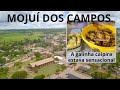 Conheça Mojuí dos Campos, uma cidade voltada à agricultura, com muito verde