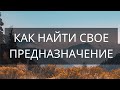 Как найти свое предназначение 3 простых шага на пути к успешной жизни!