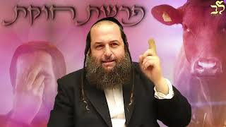 הרב אודי קוטיגרו : פרשת חוקת | לומדים להתפלל
