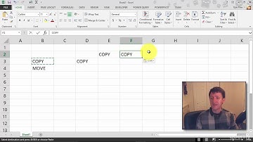 Basic Excel - how to moving and copying data in an excel worksheet