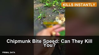Chipmunk Bite Speed Can They Kill You