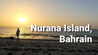Nurana Island, Bahrain| Bali the Doggo in Nurana Island