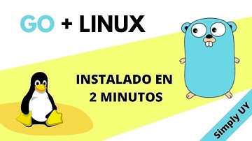 ⚡ Instala última versión de GOLANG en LINUX en 2 minutos! :: Simply UY