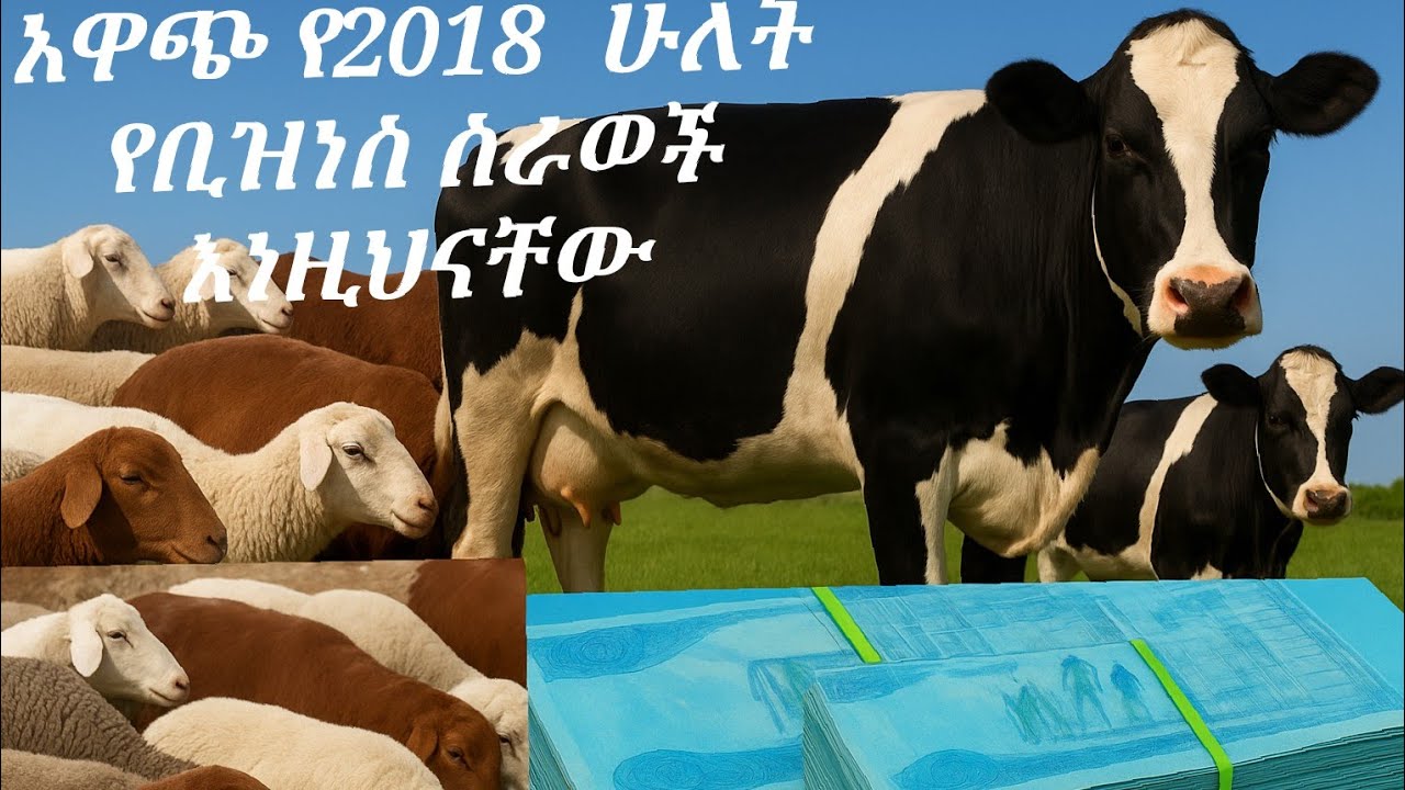 2018 ላይ ሁለት አዋጭ የስራ አይነቶች ።