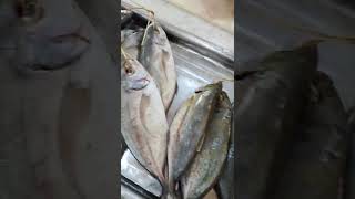 سوق السمك جيزان