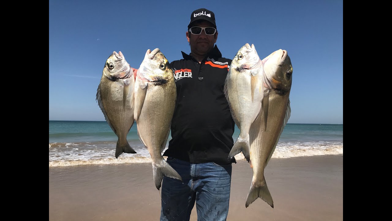 VIDEO PRESENTACION DE CEBOS RAUL MARIO PESCA SURFCASTING