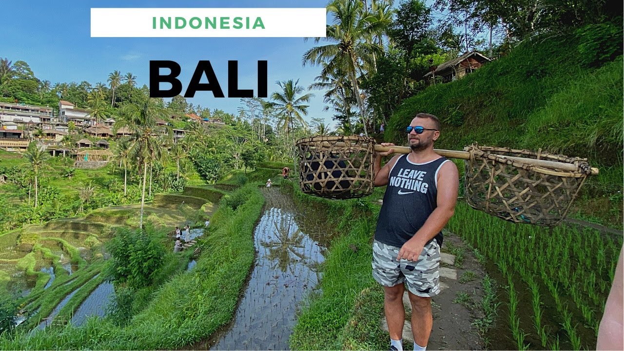 Bali - rytualna kąpiel i lokalny alkohol, tarasy ryżowe, hotel z basenem - taka sytuacja #Indonezja
