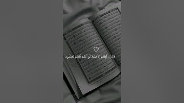 اواخر سورة المؤمنون.. تلاوة من المسجد الأقصى الشيخ محمد مصطفى محاميد