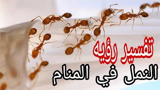 تفسير رؤيه النمل في المنام بالتفصيل للعزباء والمتزوجه والرجل والمطلقه والحامل