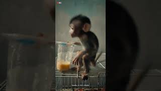 Baby Monpai Si Onyek
