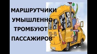 Знай свои права, когда водители маршруток возят тебя как селёдку в бочке.