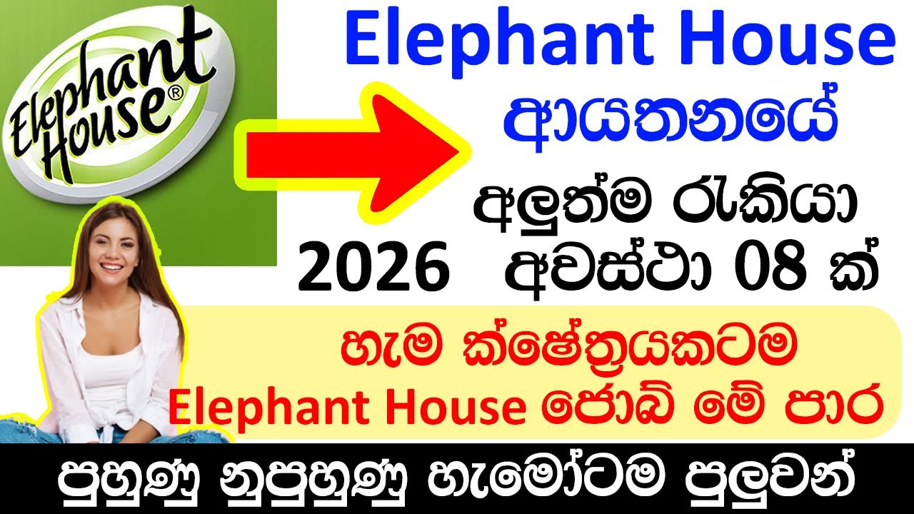 Elephant House Job Vacancies - 2026