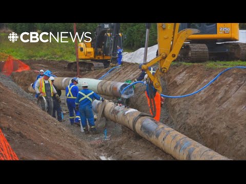 Oil Pipeline Supporters Opponents In B C Sound Off On Potential Project