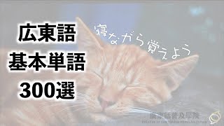 英訳 広州話常用口語詞彙 広東語 香港中文大学 Simon So 英訳 広州話常用口語詞彙 広東語 香港中文大学 Simon So 東方広東語