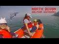 Dolphin Watching in North Devon From Our Xcape Marine Boat