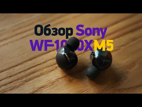 Обзор Sony WF-1000XM5 — лучшие затычки в 2023