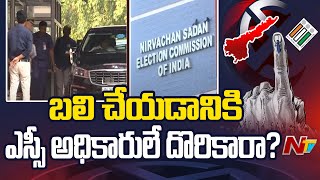 Controversy Erupts in AP Over Transfers of Collectors and SPs Due to Elections | Ntv