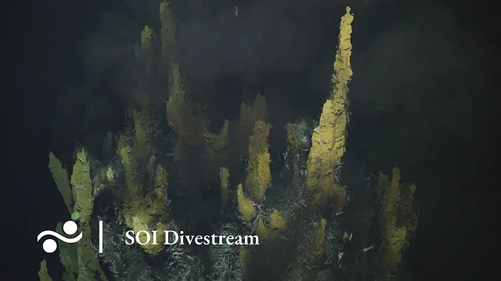 Discovering More Vents at EMARK | SOI Divestream S0495 PART 2