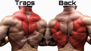 Top 5 Trap Exercises and Back Exercises to Build Wider Back