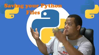 Celebrity Python Part 2  Saving your Files Profile
