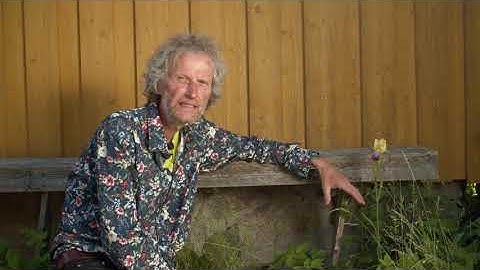 Fremmede arter: Hageiris