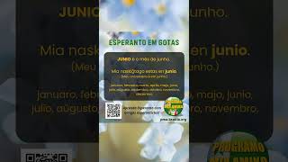 #5 | Esperanto em Gotas – Meses do Ano