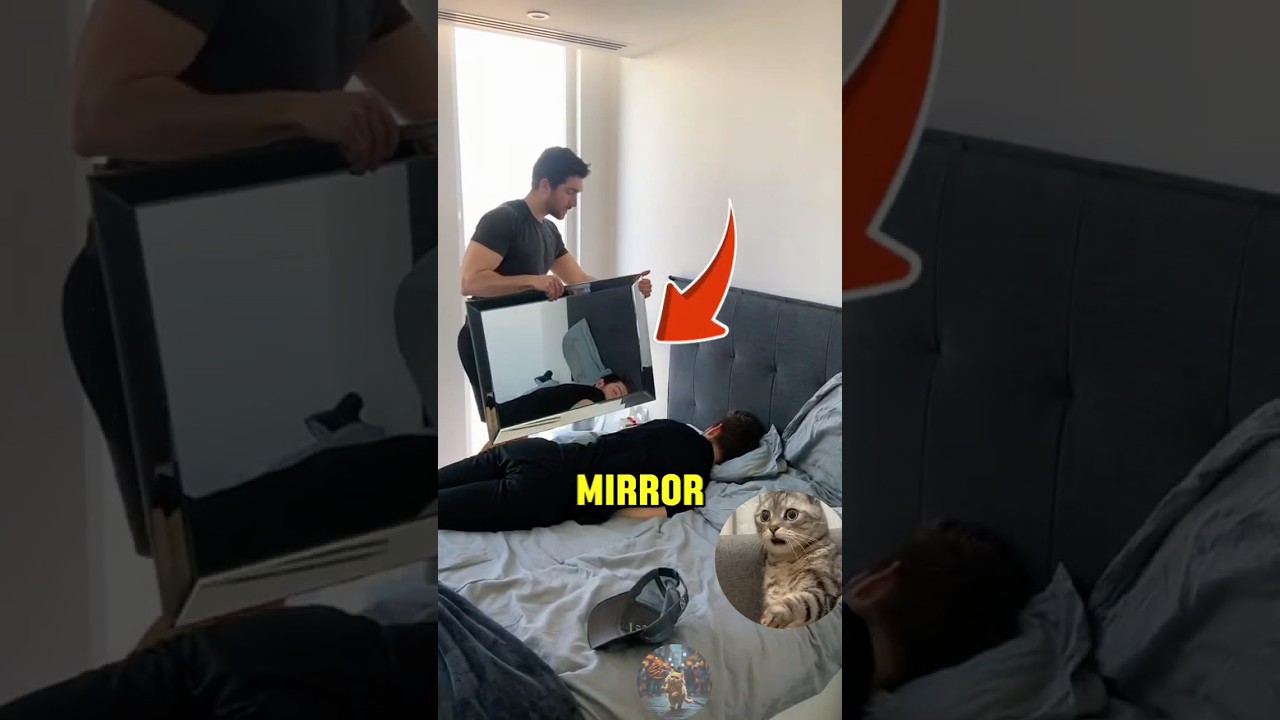 “Don’t Sleep While Your Best Friend Is Awake!” #viral