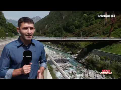 Video Giallo a Pietratagliata, donna e cane trovati morti in un furgone