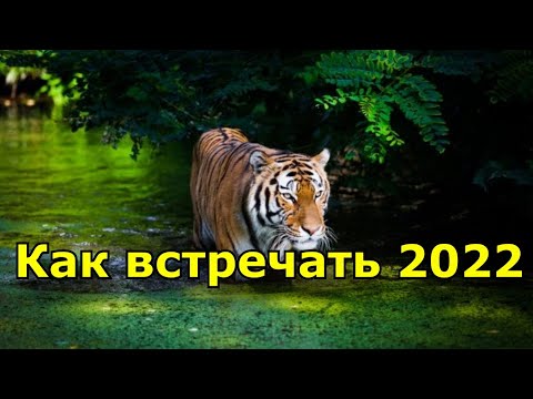 Год какого животного 2022 по восточному календарю.
