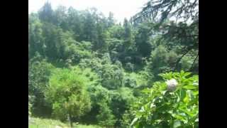 Batum Botani̇k Park Fettah Dede