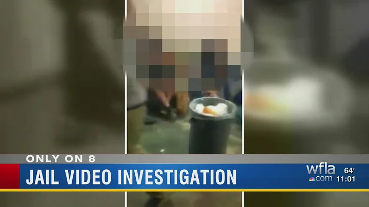 Video recorded by Polk County Jail inmates under i...