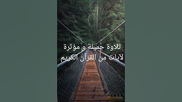 تلاوة جميلة و مؤثرة لآيات من القرآن الكريم #تلاوة_خاشعة #قران_كريم #اذكار #اكسبلور #لايك#راحة_نفسية