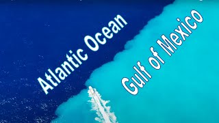 **Gulf of Mexico meets Atlantic Ocean** DIVIDED WATERS {Catch Clean CooK}