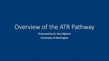 Overview of the ATR Pathway