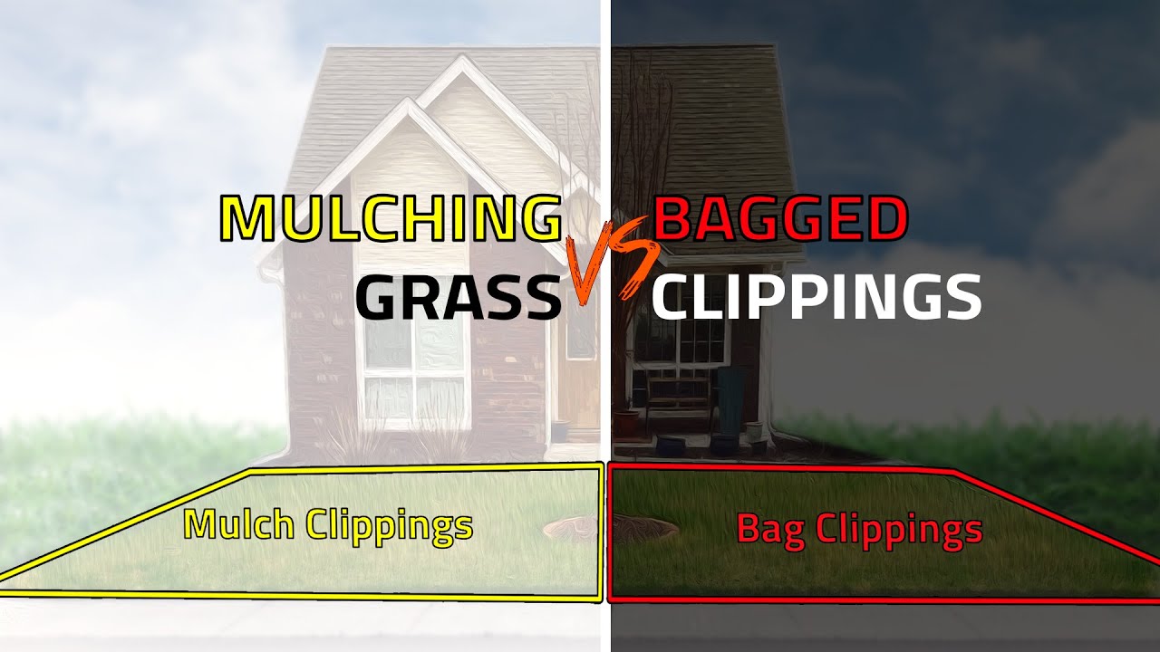 should you bag your grass clippings should you bag your grass clippings