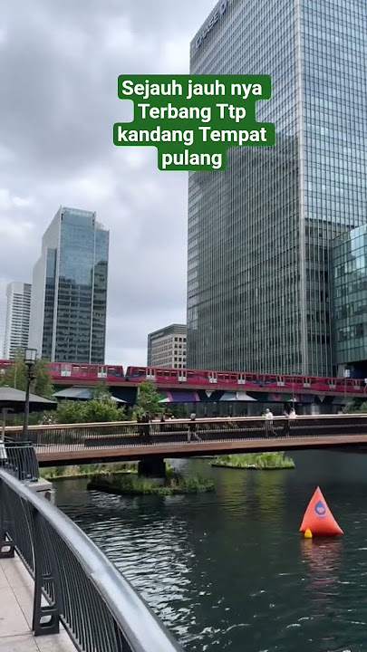 Story Tkw Hongkong #tkwhongkong #trendingshorts #fyp #captions