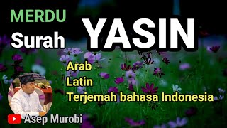 SURAT YASIN MERDU. ARAB LATIN DAN TERJEMAH BAHASA INDONESIA