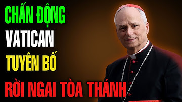 🔴 Tin Chấn Động Từ VATICAN – Đức Giáo Hoàng Leo XIV Tuyên Bố Rời Ngai Tòa Thánh